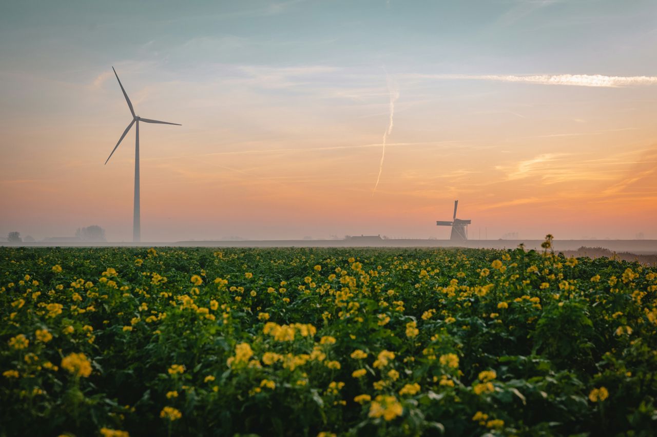 Windmill and windturbine in Dutch landscape