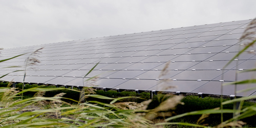 Zonnepanelen Statkraft